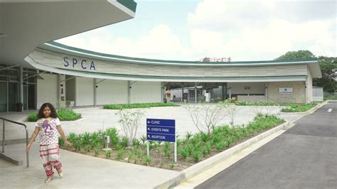 RichardHO Architects | SPCA Animal Shelter and Office Facility