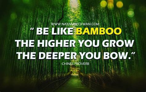 Bamboo tree - best inspirational quotes motivation about life