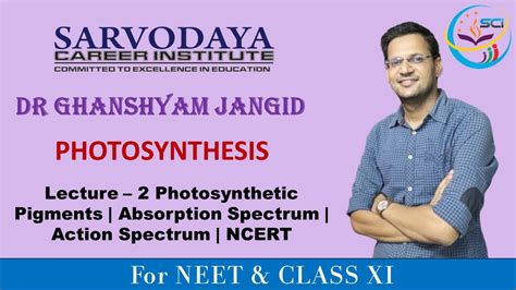 Photosynthesis Part 2 | Photosynthetic Pigments | Absorption Spectrum | Action Spectrum | NCERT ...