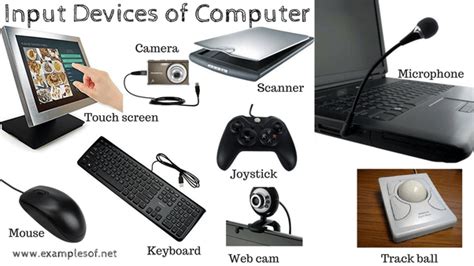 Computer Input Devices - ClassNotes.ng