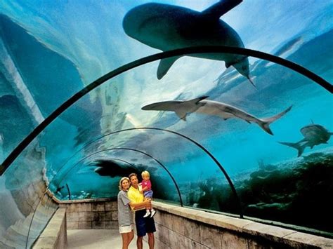 atlantis aquarium bahamas prices