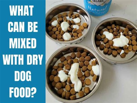 15 Tasty Toppers to Mix with Dry Dog Food to Tempt Your Dog - World of Dogz