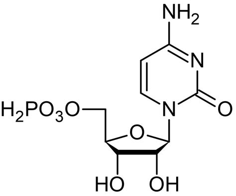 Cytidine-5'-monophosphate (CMP), Nucleoside monophosphate (CAS 63-37-6) (ab146215)