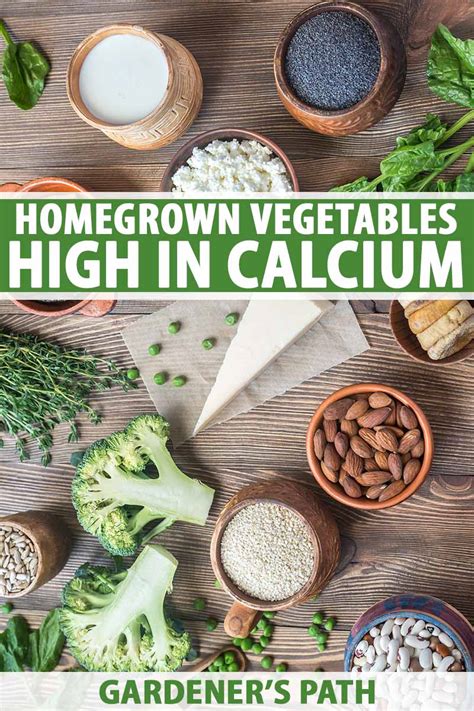 Which Vegetables Are the Best Sources of Calcium? Gardener's Path