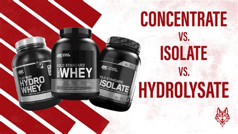 Whey Protein vs Isolate: Which is Best For You? - The Cody Allen