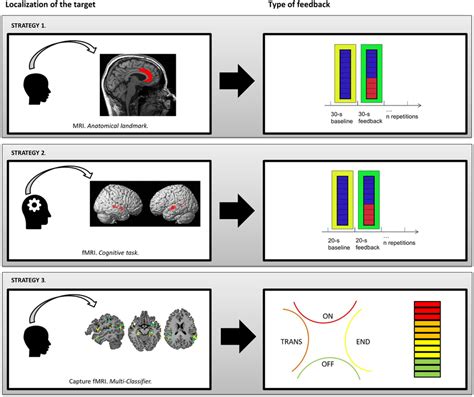 What Does Fmri Measure Brain Metrics Learn Science At Scitable | Hot ...