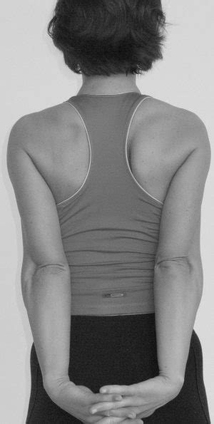 Shoulder Flexors Stretch – Painremovers