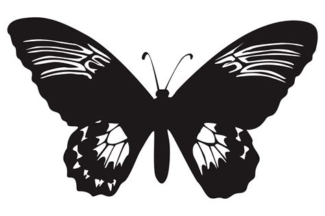 Black Butterfly On Transparent Background 23630088 PNG