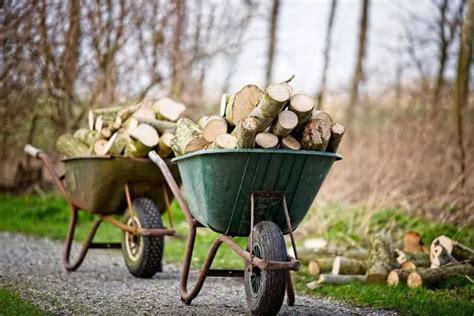 Free Firewood ( Top 14 Places ) » Off Grid Grandpa