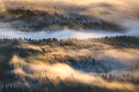 Forest on Behance Sunrise Today, Aerial Photography, Landscape Photographers, Wilderness ...