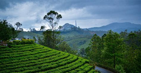 22 Peaceful Hill Stations In Tamil Nadu For The Ultimate Getaway