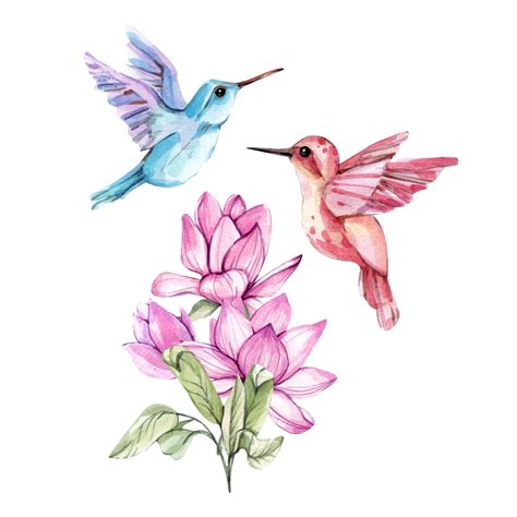 Premium Vector | Watercolor illustration of birds and flowers