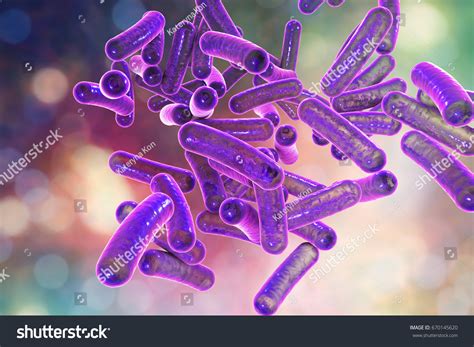 Rodshaped Bacteria Shigella Which Cause Foodborne: ภาพประกอบสต็อก 670145620 | Shutterstock