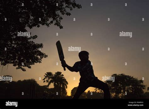 Dhaka, Bangladesh. 20th Nov, 2015. A boy playing cricket at a park in ...