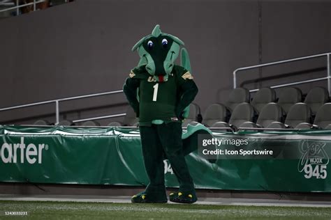 The UAB mascot, Blaze, during the game between the Alabama A&M... News Photo - Getty Images