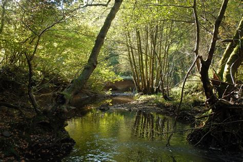 Worcestershire's National Nature Reserves - GOV.UK