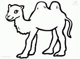 Desert Animals Coloring Pages  Home sketch template