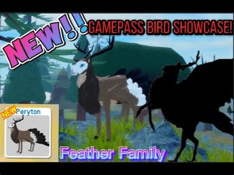 Roblox Feather Family - NEW GAMEPASS BIRD SHOWCASE! ( PERYTON! ) - YouTube