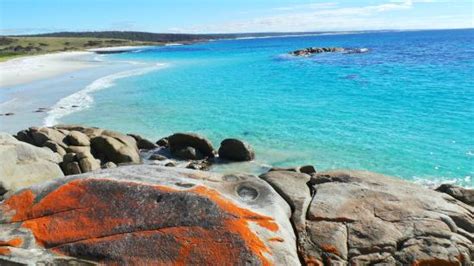 Bay of Fires Conservation Area (Mount William National Park) - 2021 All ...