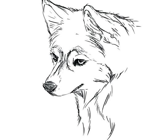 Cute Realistic Husky Coloring Pages | Puppy coloring pages, Dog coloring page, Animal coloring pages