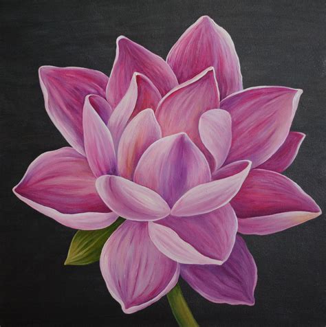 Lotus Flowers Paintings