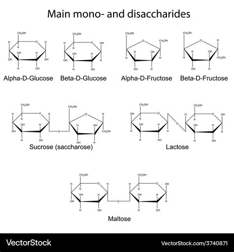 Monosaccharides Structure