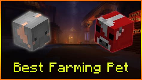 Hypixel Skyblock Best Pet For Farming at Eunice Kimball blog