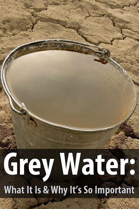 Grey Water: What It Is and Why It's So Important | Survival food ...