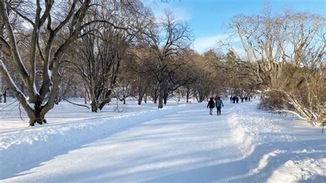 Winter Activities in Boston: Find Places for Outdoor Activities in the ...