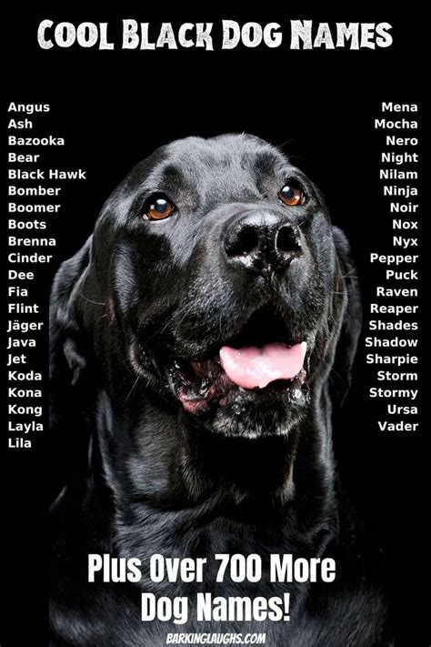 The Best Dog Names for your New Pup | Over 1000 names! | Black dog ...