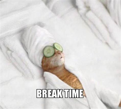 Break Time - Pampered Cat Meme Meme Generator