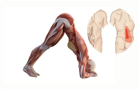 I’m a PT, and These Are the 3 Daily Stretches I Recommend for Back Pain Relief