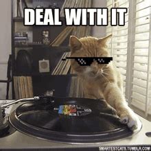 Cat Dj Gif GIFs | Tenor