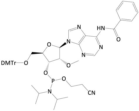 Product List - Amideus PharmaAmideus Pharma