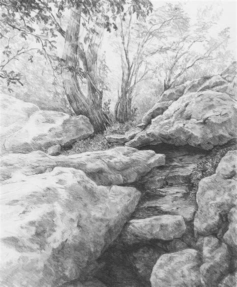 Image result for How to Draw Realistic Trees, Plants Bushes and Rocks ...