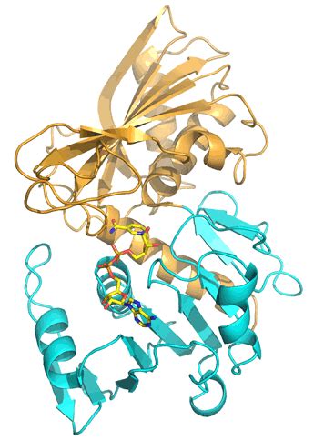 CHEM 245 - Tertiary structure