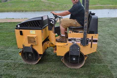 Lawn rolling will help reduce small bumps in a lawn.