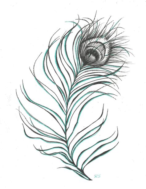 Peacock Feather Drawing | Wallpapers Gallery