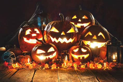 How to Choose the Best Halloween Pumpkins to Grow in Your Garden