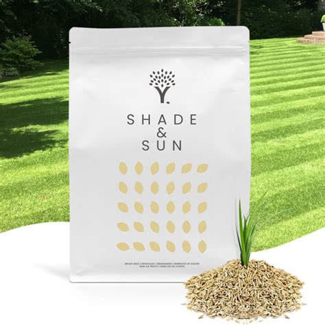 Shade & Sun Grass Seed | MOOWY