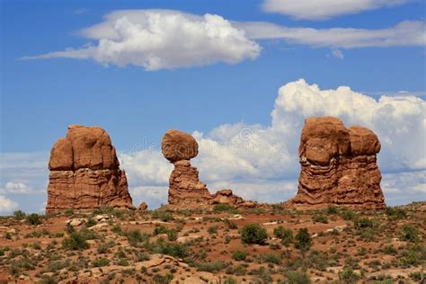 Vegetation, Rock, Shrubland, Ecosystem Picture. Image: 125017288