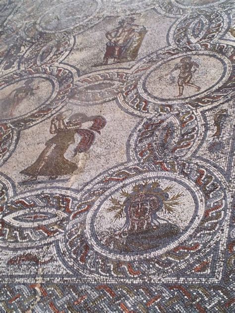 Roman mosaic, Volubilis, Morocco | Roman mosaic, Byzantine art, Mosaic