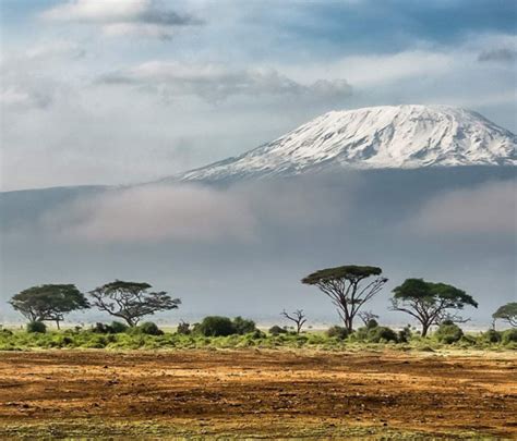 Climate Zones on Mount Kilimanjaro | Peak Planet