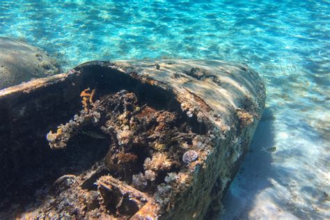 Scuba Diving in the Bahamas: Bimini Islands - The Salt Sirens