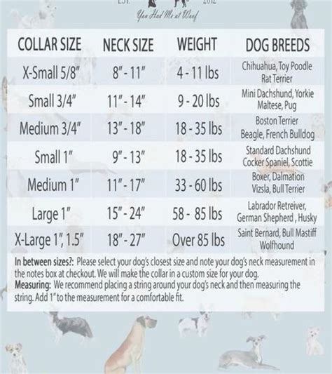 Dog Collar Size Chart for You Had Me at Woof Dog Collars | Diy dog ...