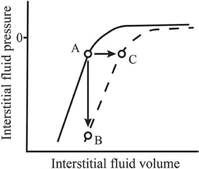 Frontiers | A Modern View of the Interstitial Space in Health and Disease