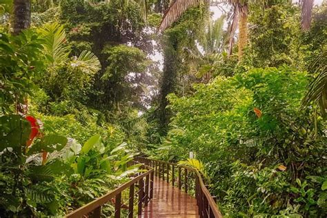 Cahuita National Park - 2021 Visitors Guide - Costa Rica Vibes