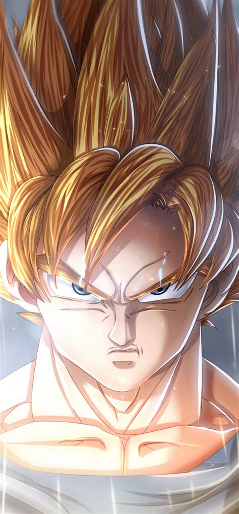 1242x2668 Goku Dragon Ball Super Anime Manga Iphone XS MAX ,HD 4k ...