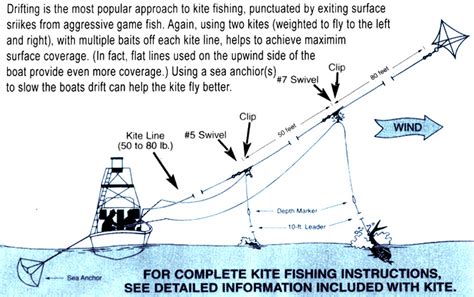 Kite Fishing - DuskyOnline.com