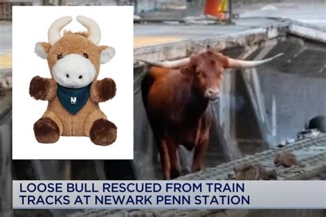 Philly Today: Ricardo, the Famous NJ Transit Bull, Now a Plushie